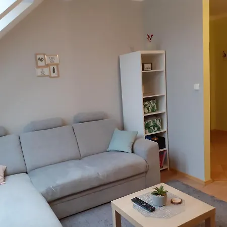 Kaktus Apartment Mragowo