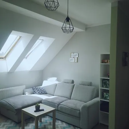 Apartment Kaktus Mragowo