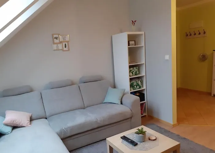 Kaktus Apartment Mragowo