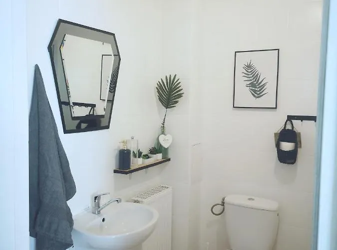 Apartment Kaktus Mragowo